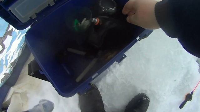 Зимняя рыбалка в Яру 28012023