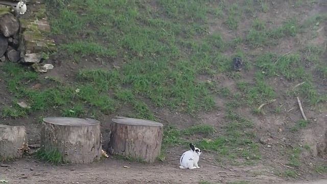 Путешествие в Калининград ?