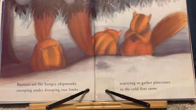 First Snow Book Read Aloud For Children