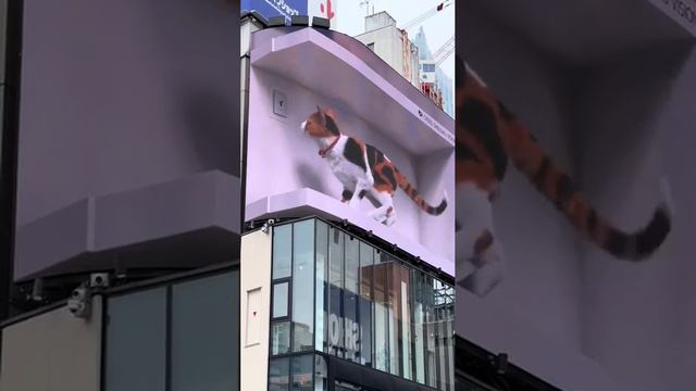Огромная CGI-кошечка живет свою котовью жизнь на билборде в Токио.