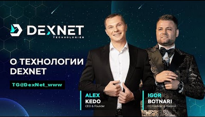 Чем занимается компания #DexNet