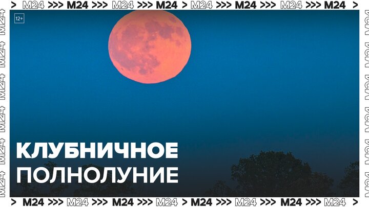 Клубничное полнолуние наблюдали москвичи в ночь на 23 июня - Москва 24