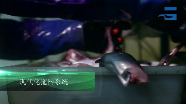 _CHINA