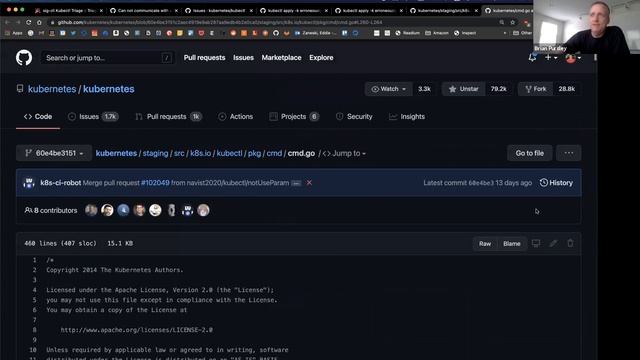Kubernetes SIG CLI 20210721 - bug scrub
