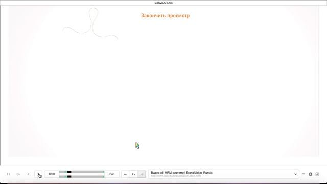 Вебвизор. Как клиент "не досмотрел" мою презентацию.