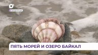 Приморский край вошёл в проект «Пять морей и озеро Байкал»