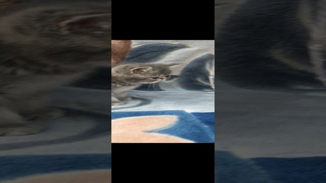 01-07-2023