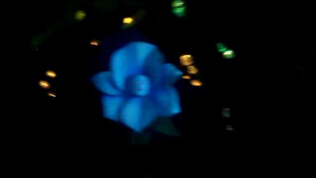 Alice in Wonderland @ DisneyLand