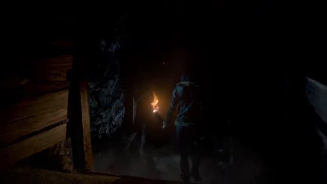 Until Dawn - Emily's night