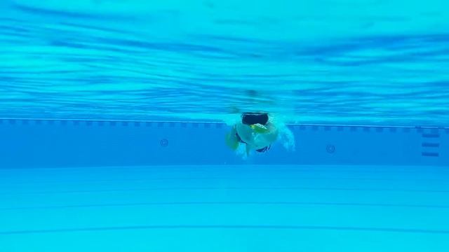 Finis Agility Paddles How to use it effectively