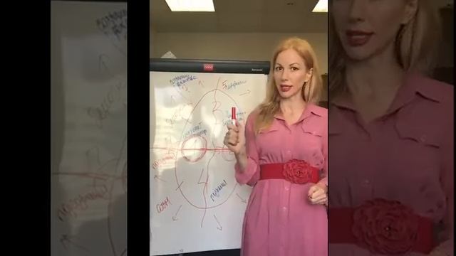 Лекция "Инстинкты, яйцо и пищевые сценарии"
