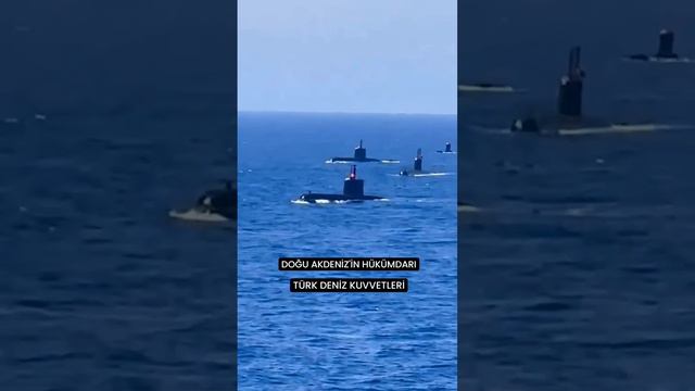Турецкий флот продемонстрировал свою подводную мощь на учениях «Морской Волк-2024»