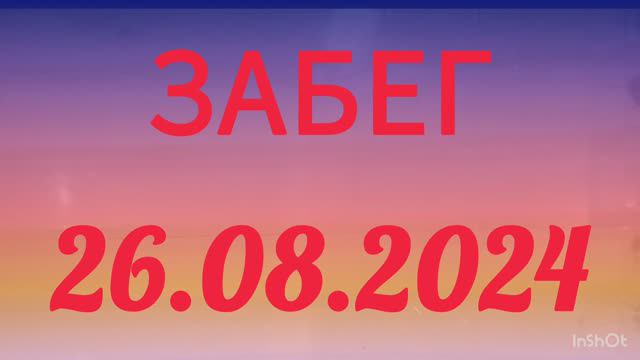 Забег26.08.2024