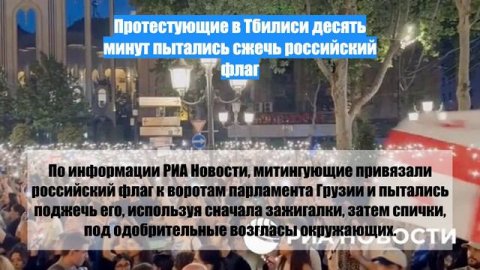 Протестующие в Тбилиси десять минут пытались сжечь российский флаг