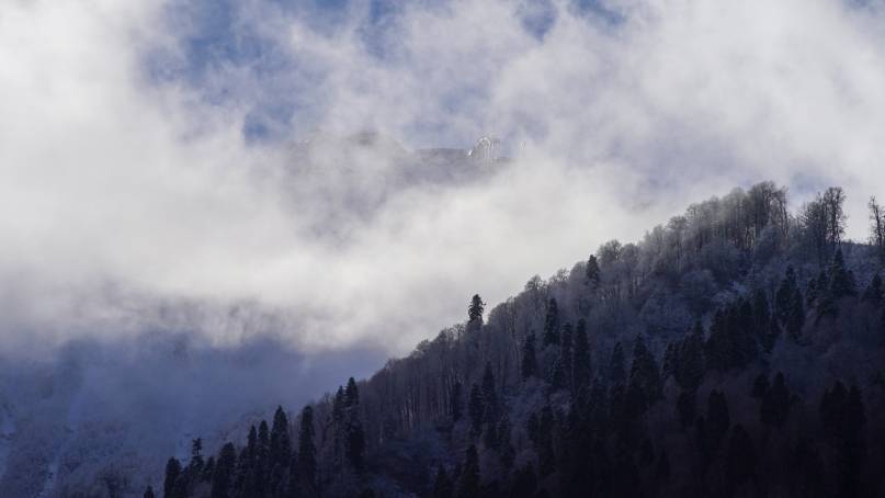 Накрыло лавиной: снежная глыба в Сочи насмерть придавила туристку