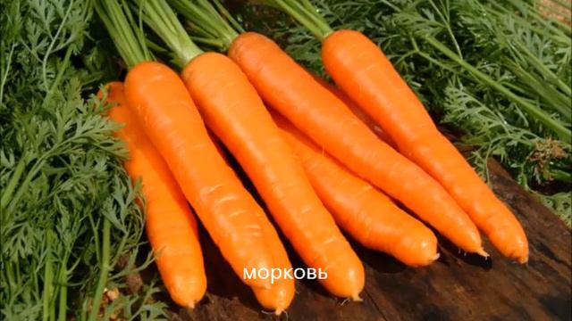 Ирина Токарева "2-сложные со стечением согласных и закрытым слогом"