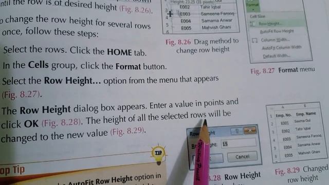 Class 5 Computer Chapter #8 Editing Cell Content in MS Excel 2013 Part 6 (Last). Allied School