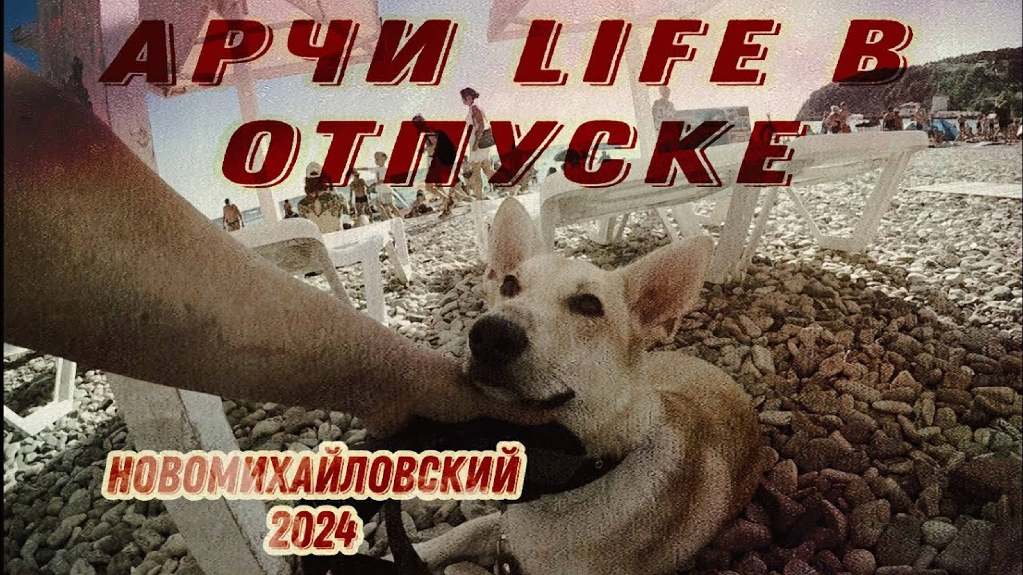 Отпуск В Новомихайловском 2024 | Probin Life Taxi