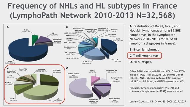 Update on Lymphoma from the 2022 American Society of Hematology ASH  Annual Meeting | LRF Webinars