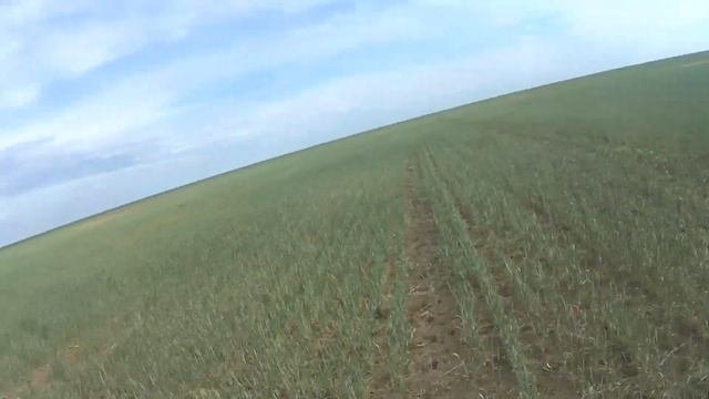Охота на сурка байбака №1 2019г.