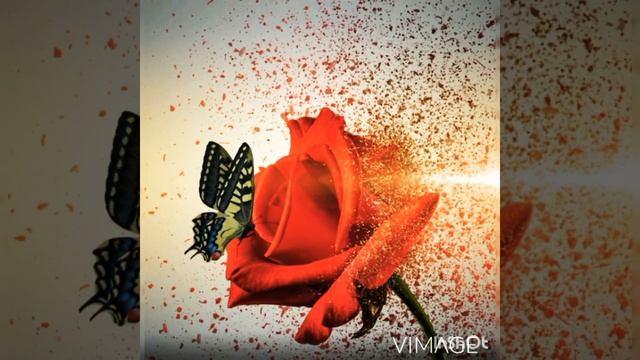 С Днём Матери!28 НОЯБРЯ 2021! Оригинальная музыкальная открытка!happy Mothers Day