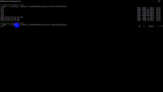 TRANFER DATA TO REAL SERVVER (SSH SCP)