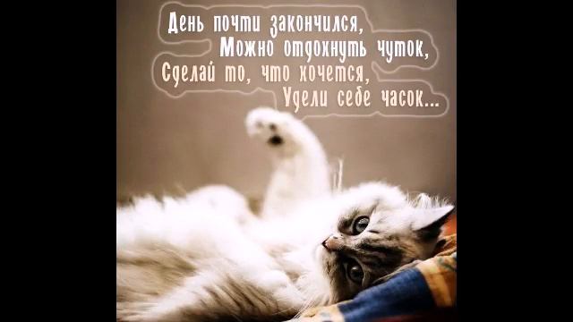 Добрый вечер! С ДОБРЫМ ВЕЧЕРОМ!