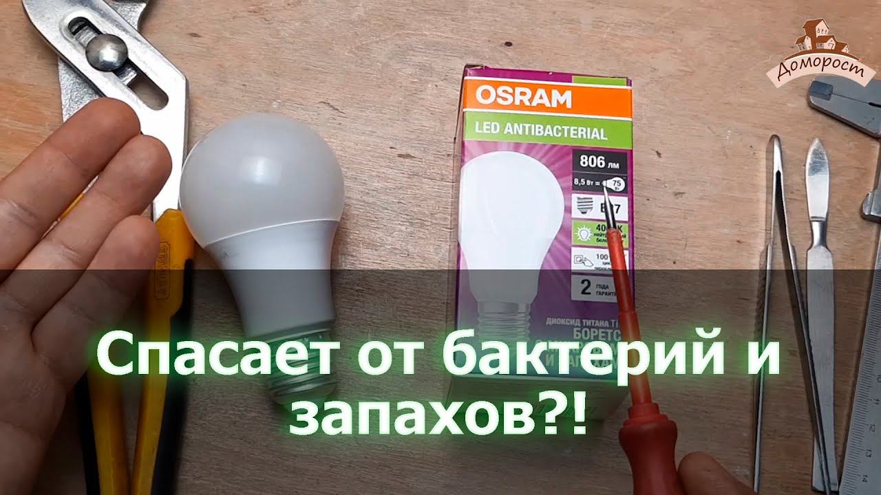 Osram Antibacterial 8.5 Вт E27 - лампа против запахов и бактерий!