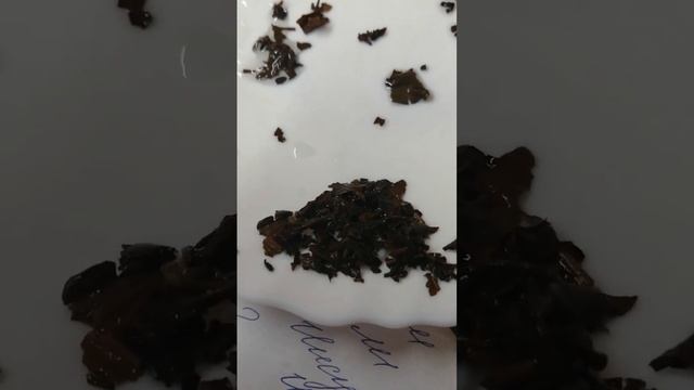 сказ что получат англосаксы и тайные общества если не дадут украинцам и россиянам выйти за мир.