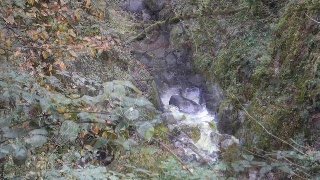 Калабин 11.2023 клип