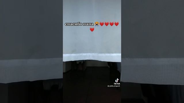 дракон из тик тока мой
