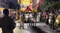 Служение быков в Майяпуре