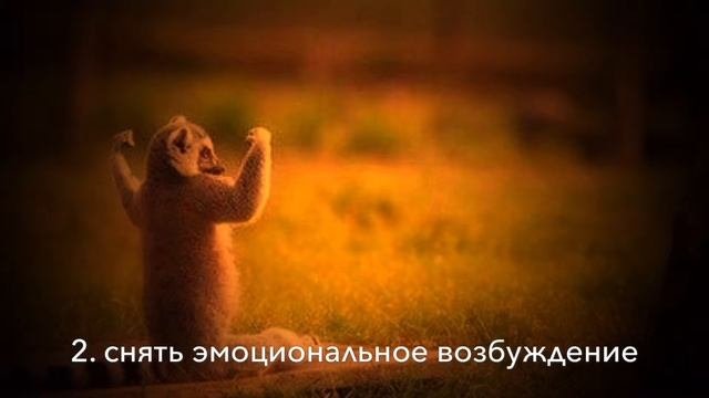 СТРЕСС ВО ВРЕМЯ ГРУДНОГО ВСКАРМЛИВАНИЯ! КАК БОРОТЬСЯ?????