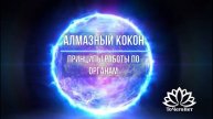 Алмазный кокон. Техника работы с органами. Школа космоэнергетики "ТоЧегоНет"