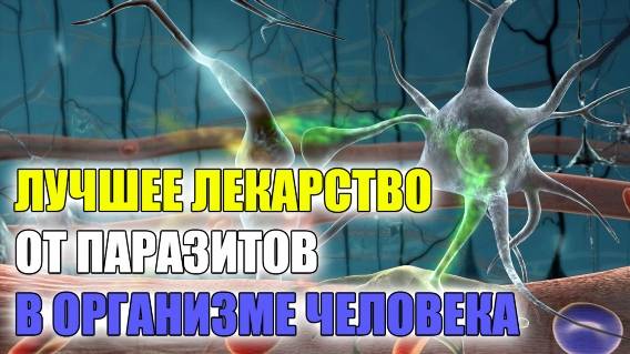 ⚠ КАК ПОНЯТЬ ЧТО В ОРГАНИЗМЕ ЕСТЬ ПАРАЗИТЫ 💣 ЛЕКАРСТВО ОТ ГЛИСТОВ И ОСТРИЦ ДЛЯ ДЕТЕЙ