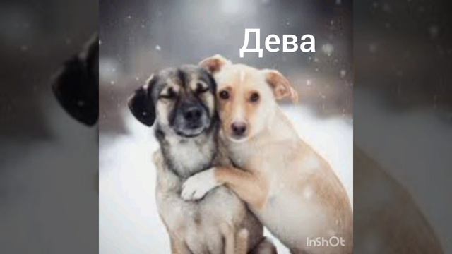 Какая ты песня по знаку зодиака?!