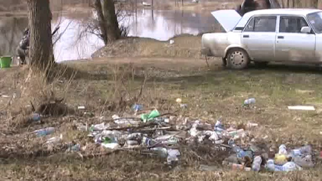 Подснежники