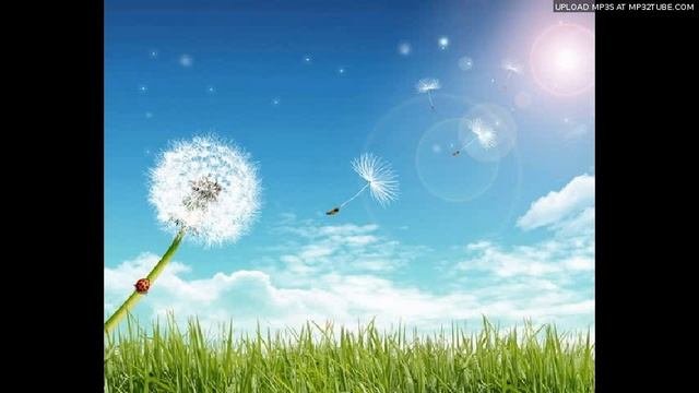 Муравьишка и одуванчики (сказка для малышей,читает автор)