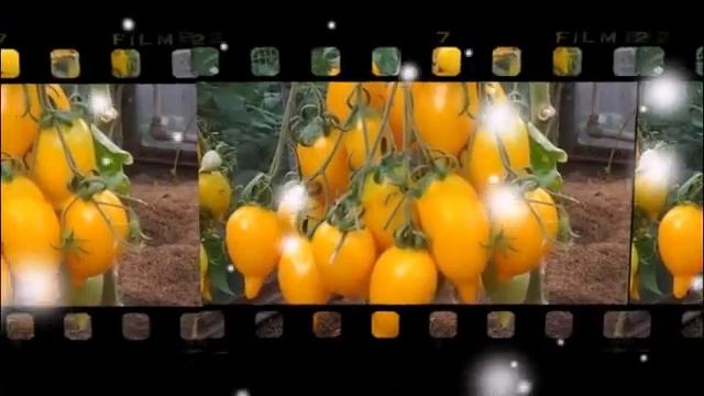 Супер мелочь-для баночек!
