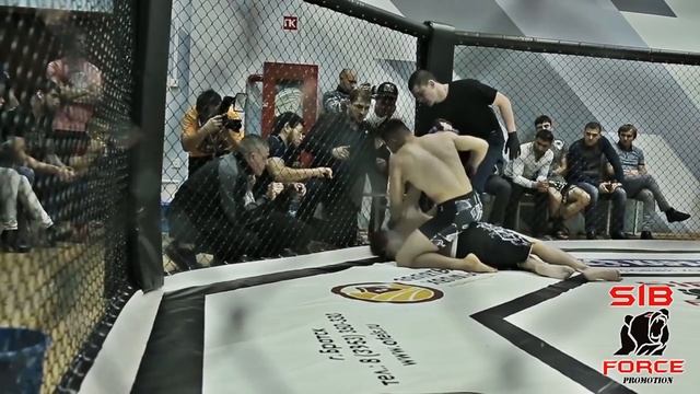 SibForce -1. Promo