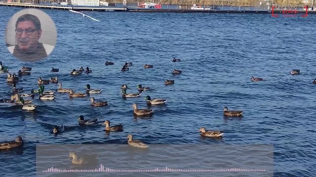 САМОУВАЖЕНИЕ. Как не цепляться за людей, научитесь говорить - нет!