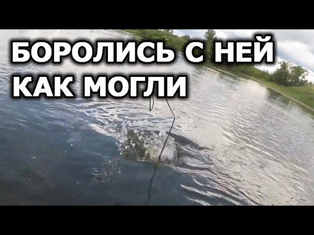 Возьмём или нет!? Рыбалка на реке. Щука на ультралайт. Ультралайт на реке Чулым. Ловля на спиннинг