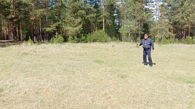 Дрессура собак. Город Реж Свердловской области.