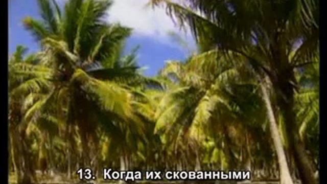 суры. аль-фатиха и аль-фуркан