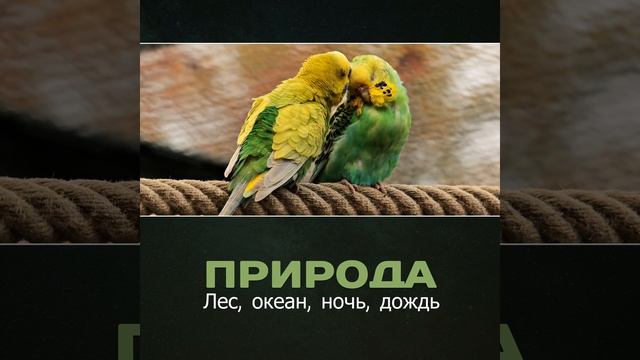Вода, Момент релаксации
