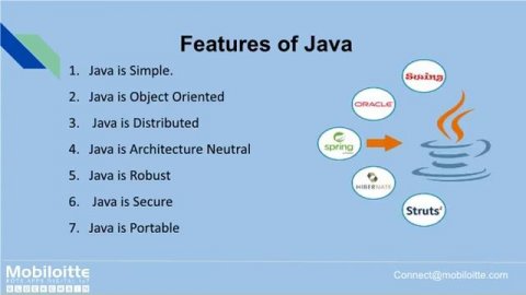 Java Development Services- Mobiloitte Technology