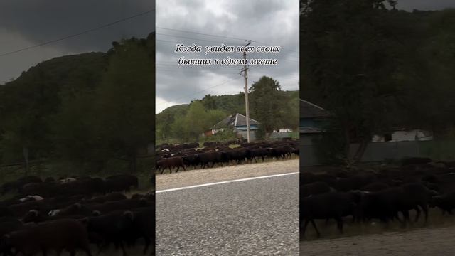 Когда увидел всех своих бывших