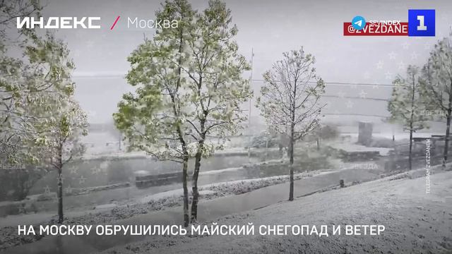 На Москву обрушились майский снегопад и ветер