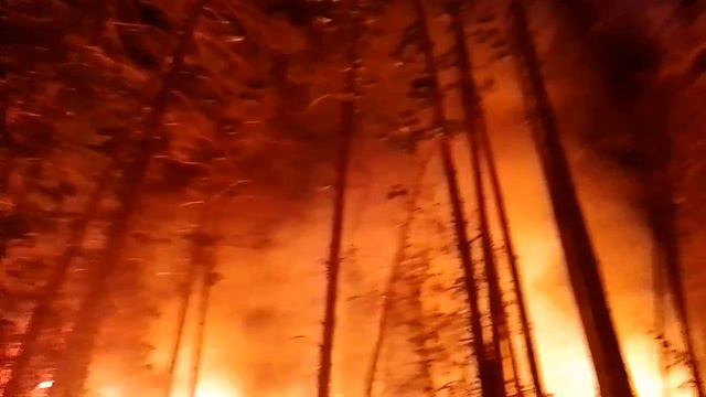 Полыхающий дом в Екатеринбурге принадлежит местной экоактивистке.