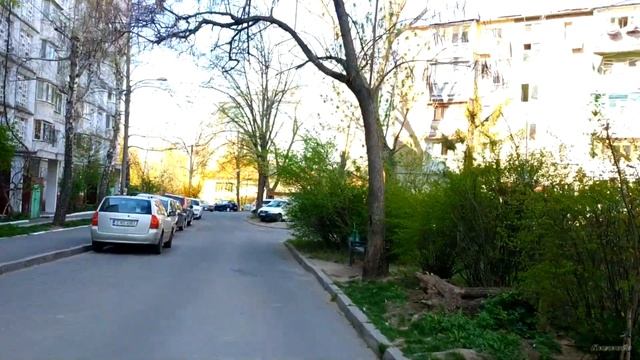 Кишинев, Ботаника, ул. Христо Ботева